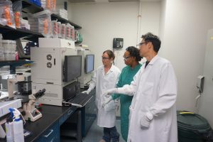 Researchers viewing the device counting the number of areas on the plate where the Zika virus is replicating.