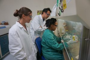 Koide and fellow SR staff, Laurie Queen and Priscilla Williams, view a viral titer plate to determine if a drug presents the growth of Zika virus.