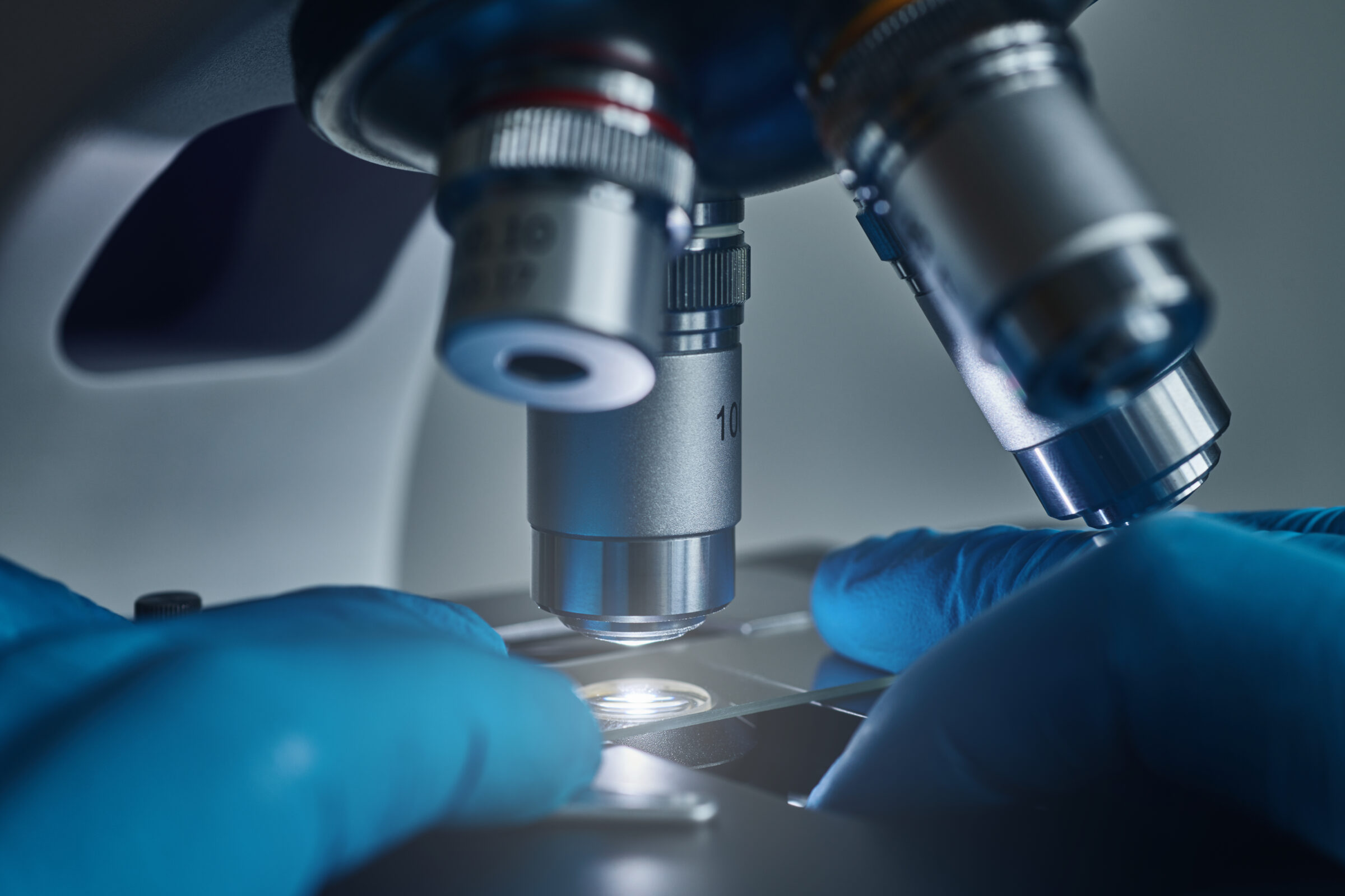 ADME & In Vitro Toxicology | Southern Research