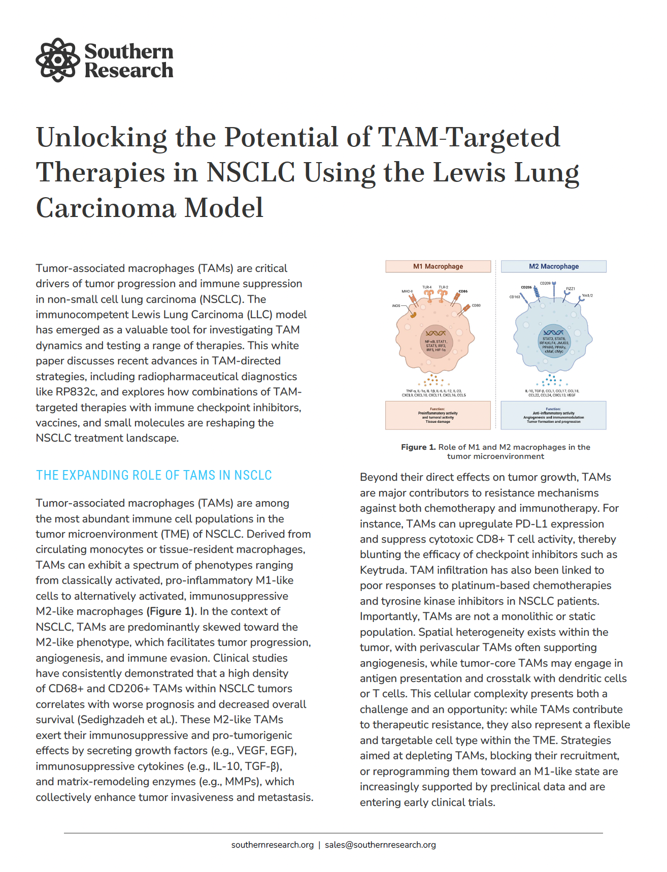 Unlocking the Potential of TAM-Targeted Therapies in NSCLC Using the ...