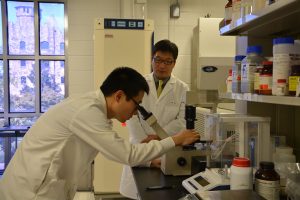 Shang Cai, of Soochow University in China, is currently conducting training in the oncology groups at Southern Research with Bo Xu, M.D., Ph.D., senior research fellow and chair, department of oncology.